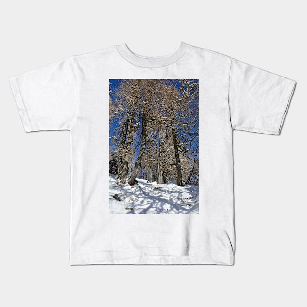 Snowy Trees on Monte Lussari Kids T-Shirt by jojobob